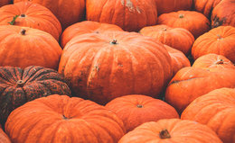 The Benefits of Pumpkin in Skin and Hair Care