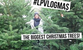 The Biggest Christmas Trees! | #LPvlogmas Day 18