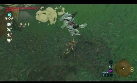Girl finds shrines and does FINAL TRIAL of SWORD in Breath of the WIld (Switch) Part 65.1