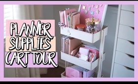 HOW I ORGANIZE AND STORE MY PLANNER SUPPLES & STICKERS | IKEA RASKOG CART TOUR