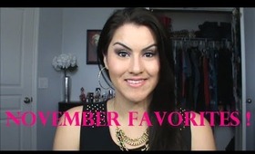 November Favorites 2013