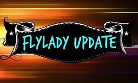 Flylady Update