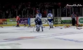 Sheffield Steelers Teddy Toss 22/03/2014