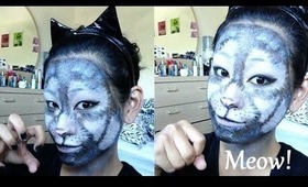 { Cat } Halloween makeup, & costume