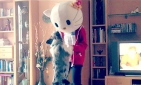 Hello Kitty dancing with a dog? A little recap of my week.
