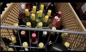 Life with Lexadoos:Ep 2: Block Party Prep