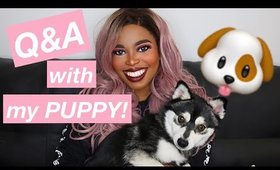 Q&A with my puppy Mochii!