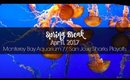 Travel Vlog: Spring Break | April 2017