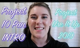 PROJECT 10 PAN INTRO! Project Use It Up 2019 Q3