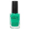 Color Club Professional Nail Lacquer Edie