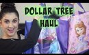 Dollar Tree Haul!