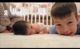 RAW DAY IN THE LIFE - Tummy Time At 2 Weeks | Danielle Scott