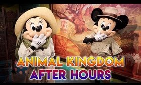 WORTH IT? We had the park to ourselves!🙊 Disney's Animal Kingdom After Hours Event | GlitterFallout