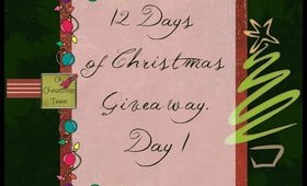 12 Days of Christmas Giveaway!