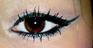 Simple little WiNg