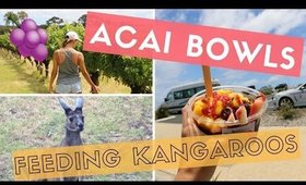 MORE WINE, ACAI BOWLS, & FEEDING ROOS | Chloe Madison