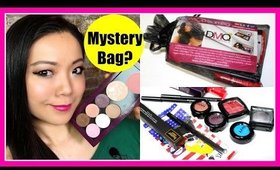 NEED YOUR HELP: Empty Magnetic Palette, Mystery Bag & DMQ Spring Palette!