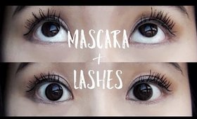 Mascaras and Lashes! 👀 ft Asian eyes