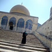 Hadeel N.