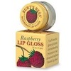 Burt's Bees Fruit Flavored Lip Gloss