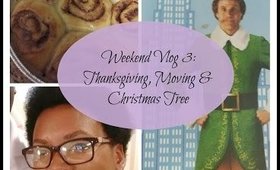 Weekend Vlog 3 | Thanksgiving Moving and Christmas Tree