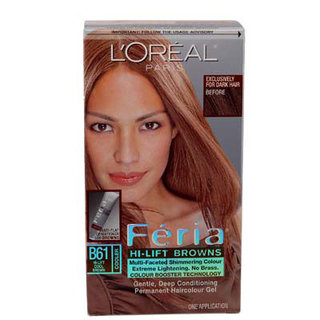 L'Oréal Hi-Lift Browns Hair Color
