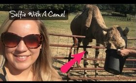 Selfies With a Camel | Day on A Farm | A Talking Bird Got Sassy With Me