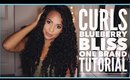 Curls Blueberry Bliss One Brand Hair Tutorial | Ashley Bond Beauty