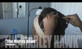 Natural Hair: Homecoming/ Special Occasion Updo "Marley Hawk"