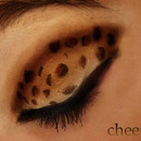 Cheetah eye
