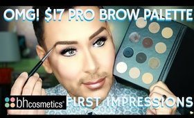 OMG! $17 PRO BROW PALETTE 1ST IMPRESSIONS | Mathias4Makeup