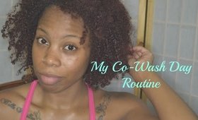 My Co Wash Day Routine