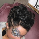 Peacock Feather