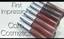 Caro Cosmetics Liquid Lipstick Lip Swatches + Review