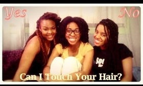 Can I Touch Your Hair? Controversy?