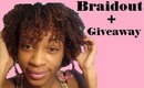 Giveaway+Braidout using Pantene Daily Moisturizer