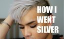 DIY Silver Hair | My Story of Going Silver