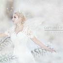Snow Fairy 