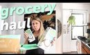 Healthy Grocery Haul + PLANTS | NYC Moving vlog