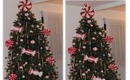 Decorate my Peppermint Candy land Christmas Tree with me!