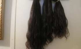 WHAT THE HECK! Elitehaironline.com Final Review