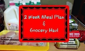 2 Week Meal Plan & Grocery Haul