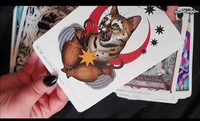 GRAVITY TATTOO TAROT DECK SHOW AND TELL ~ ASMR