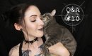 Q&A #10: Kitten Update and WEDDING SURPRISE!!