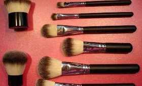Synthetic Brushes