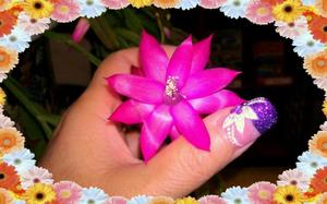 Glitter Acrylic with Flower design