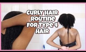 Updated Curly Hair Routine 2019