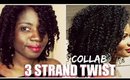 3 Strand Twist Collab with NaturalHairObsession