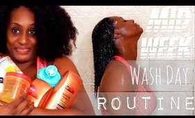 Natural Hair Mid Week Wash Day Routine | Shlinda1