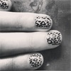 leopard print 